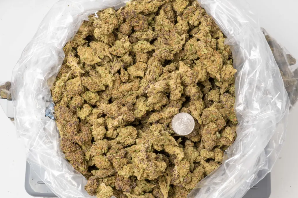 Runtz 4-10-26 BAG.webp