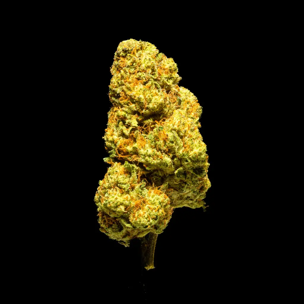 Sour Kush Breath -BLACK- 011226.webp