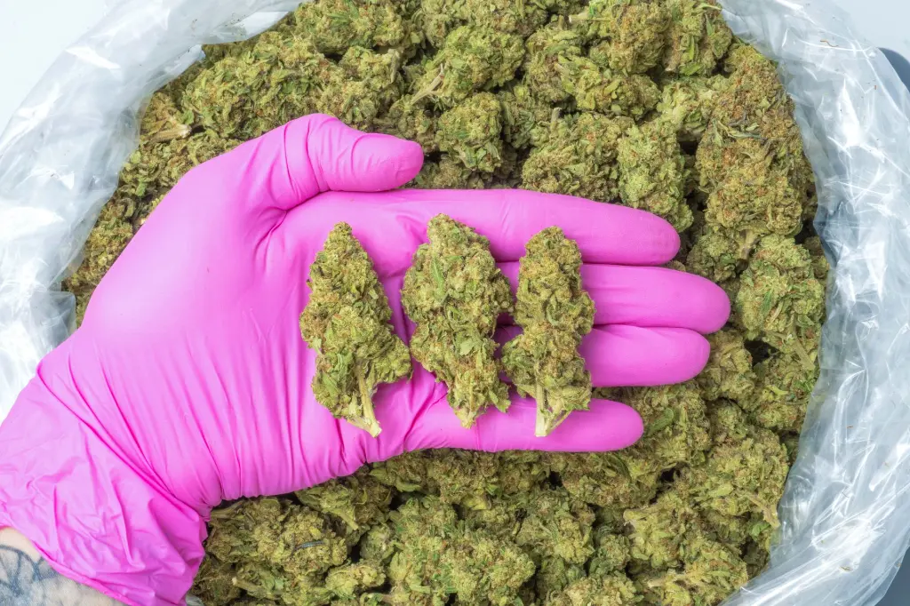 Pure Michigan 4-10-26 PINK (3).webp