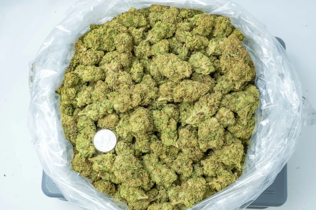 Pure Michigan 4-10-26 BAG (3).webp