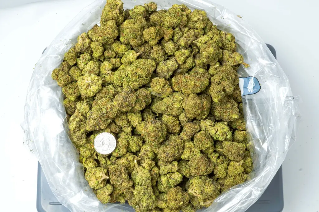 Candy Fumes 4-10-26 BAG (1).webp