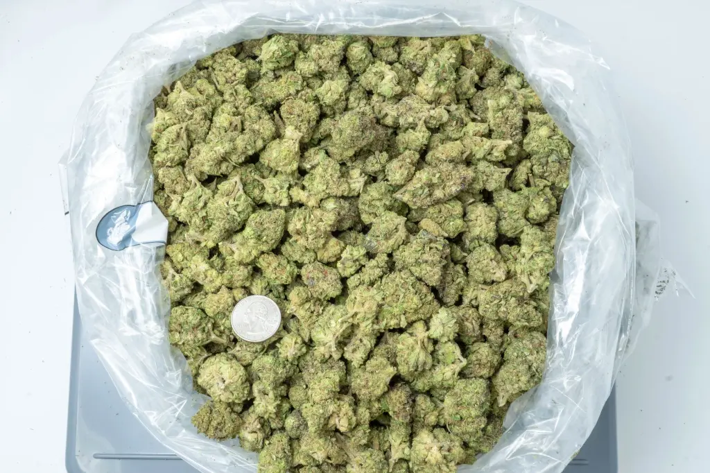 Hashburger 4-10-26 BAG (2).webp