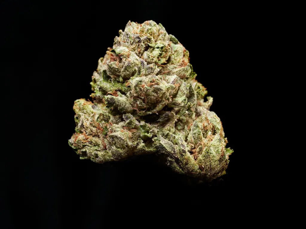 LCG 4-10-26 BUD.webp