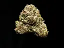 LCG 4-10-26 BUD.webp