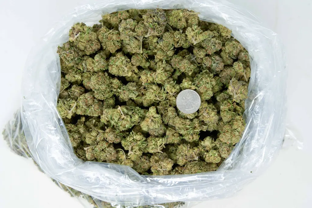 LCG 4-10-26 BAG (1).webp