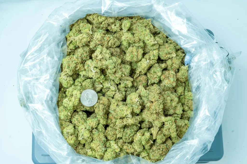 Scoops 4-10-26 BAG (3).webp