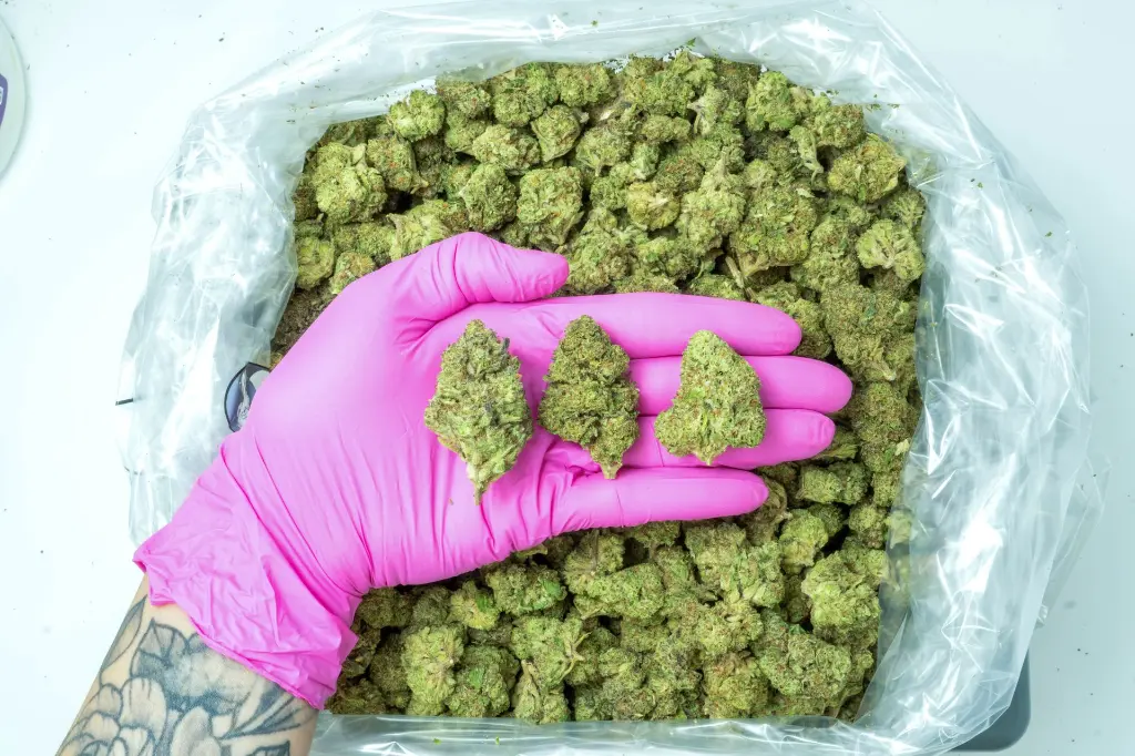 Platinum Cookies 4-10-26 PINK (2).webp