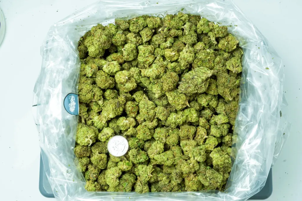 Platinum Cookies 4-10-26 BAG (2).webp