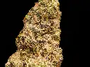 Black Cherry Funk 4-3-26 BUD (2).webp