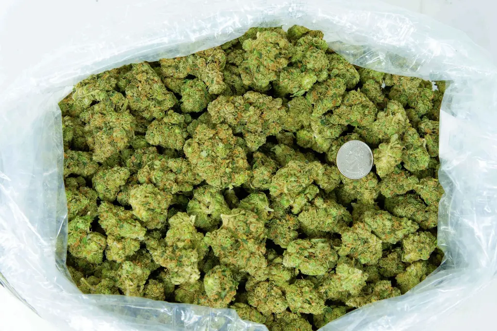 Cali-O 4-3-26 BAG.webp