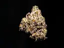 White Truffle Mediums 4-3-26 BUD.webp