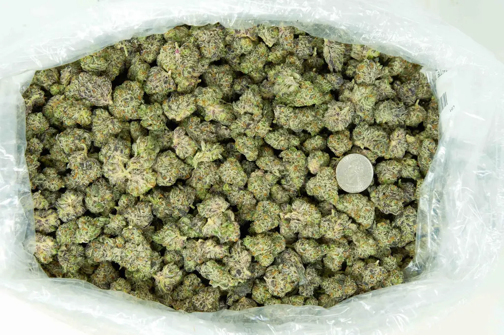 White Truffle Mediums 4-3-26 BAG.webp