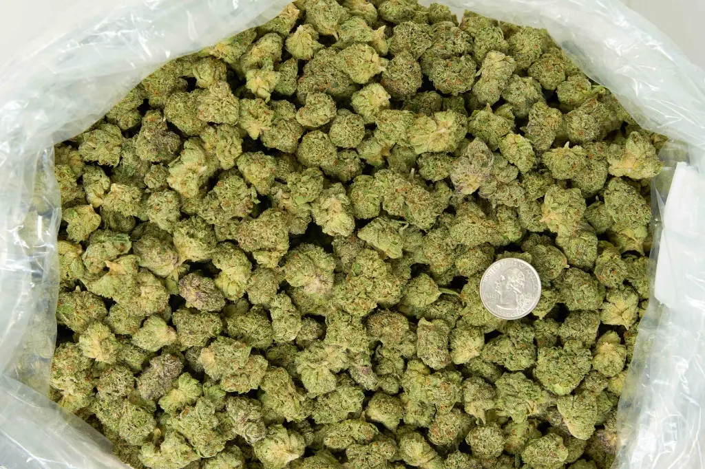 Amaretti Limon Runtz Mediums 4-3-26 BAG.webp