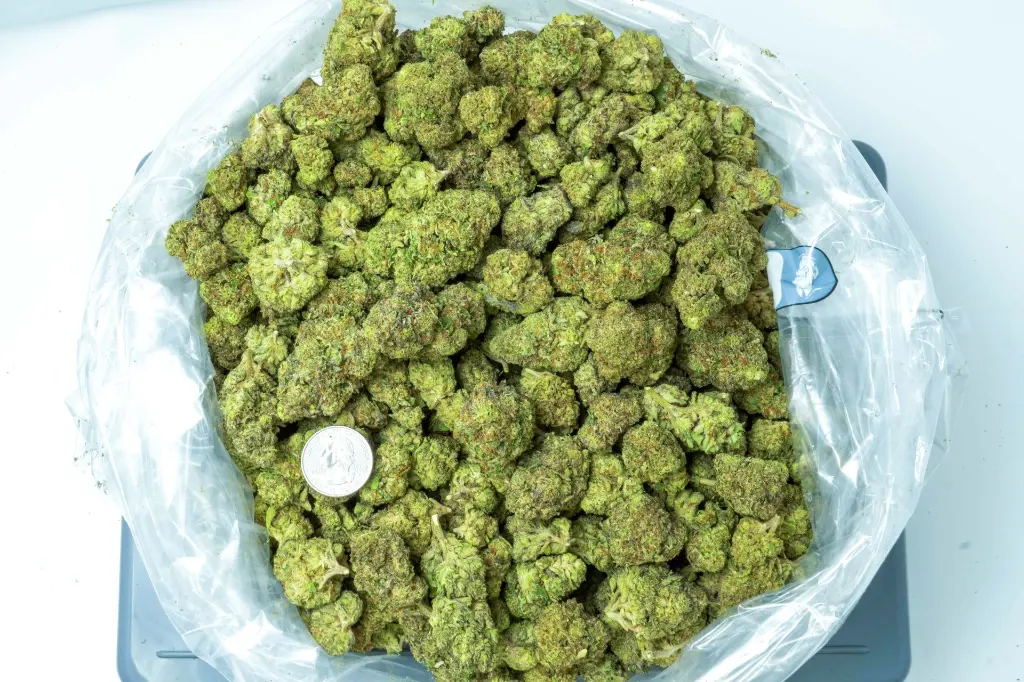 Candy Fumes 4-10-26 BAG (2).webp