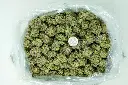 King Gelato_4-10-26 BAG.webp
