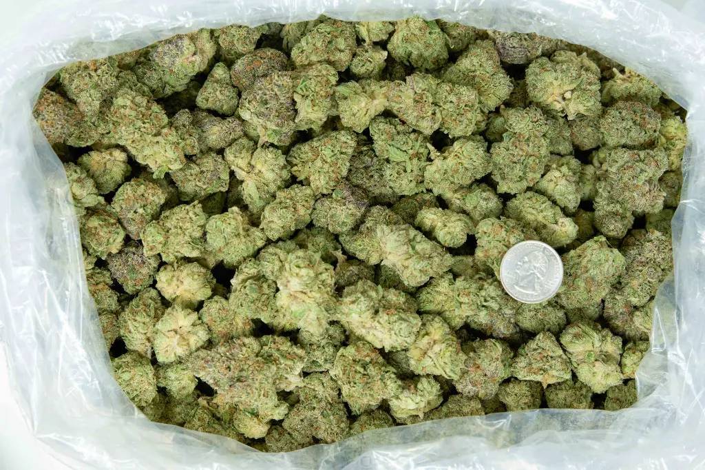 Amaretti Limon Runtz _4-3-26 BAG (1).webp