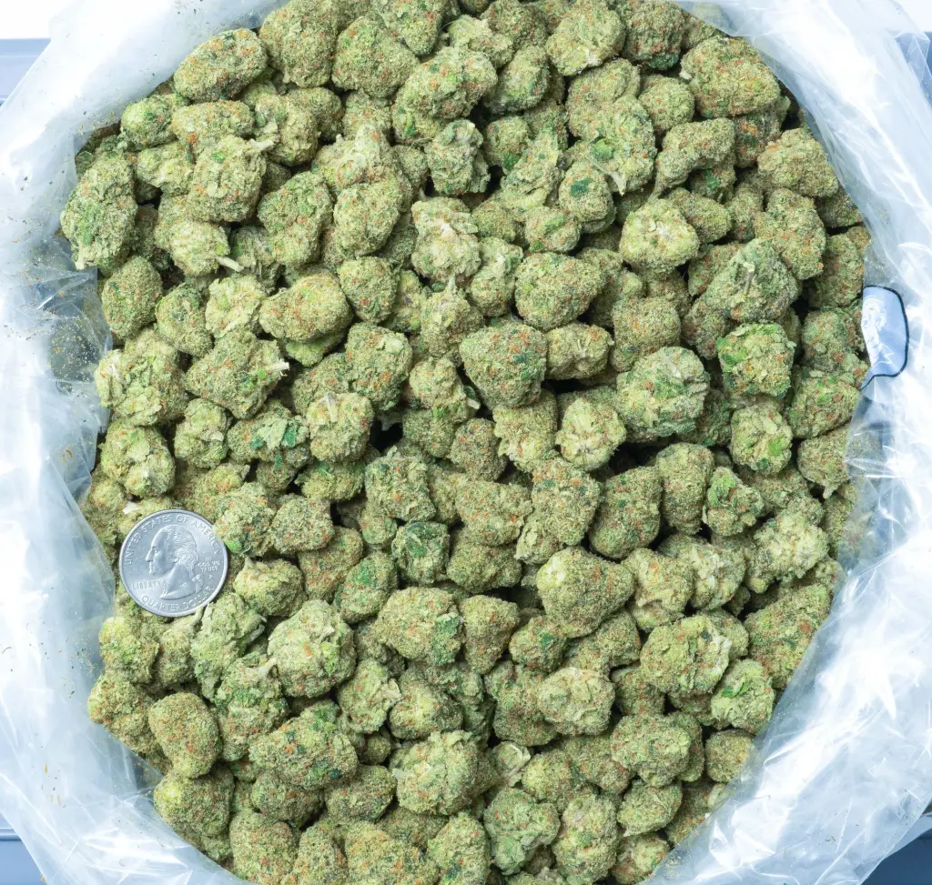 WhiteLemonMediums_3-17-26 BAG.webp