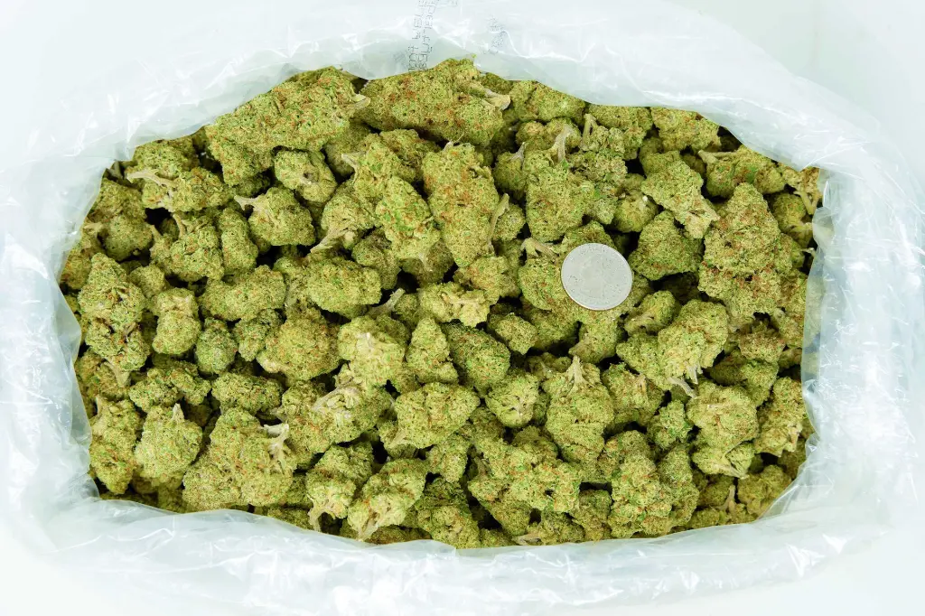 Pompei 4-9-26 BAG.webp