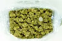 Sunset Sherbet 4-8-26 BAGpg (2).webp