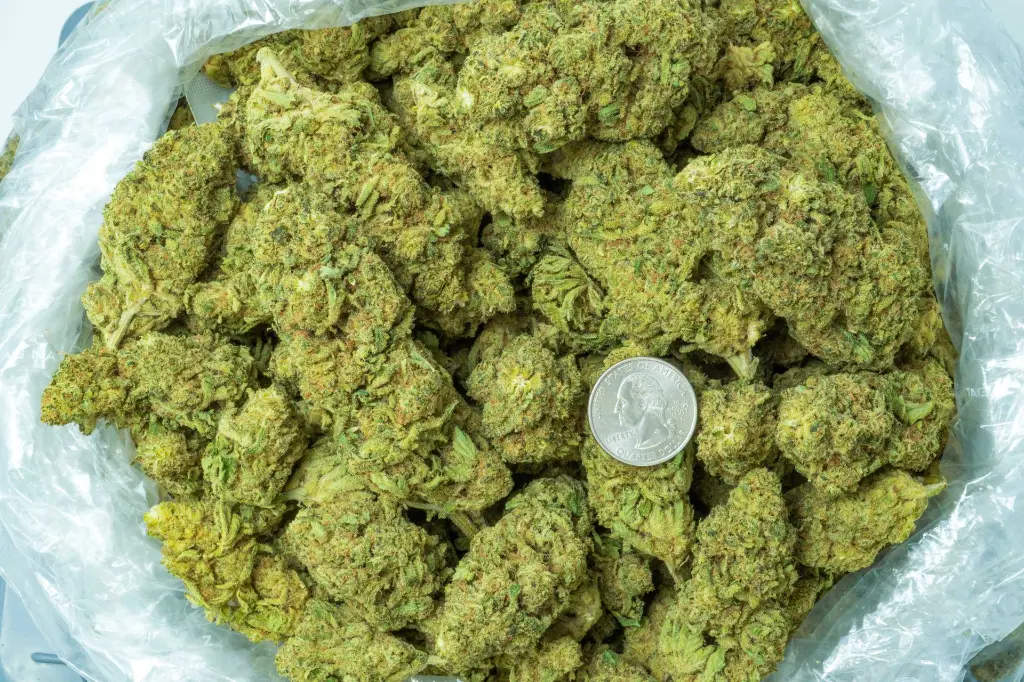 Lemon Oreos 4-14-26  BAG.webp