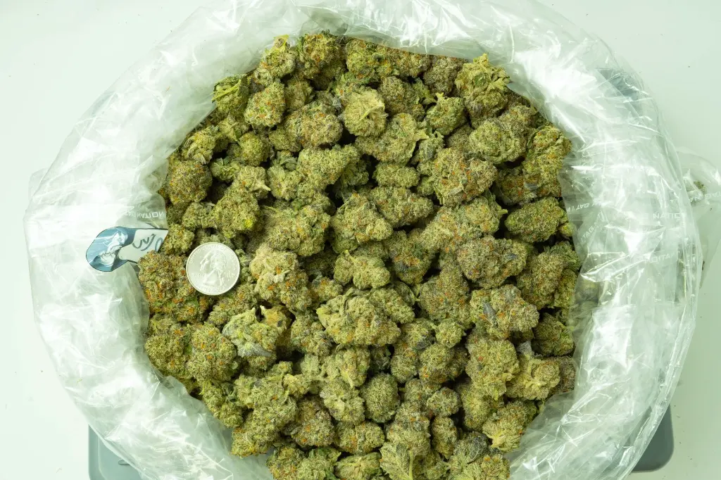 Blackberry Cavier 4-15-26 BAG.webp