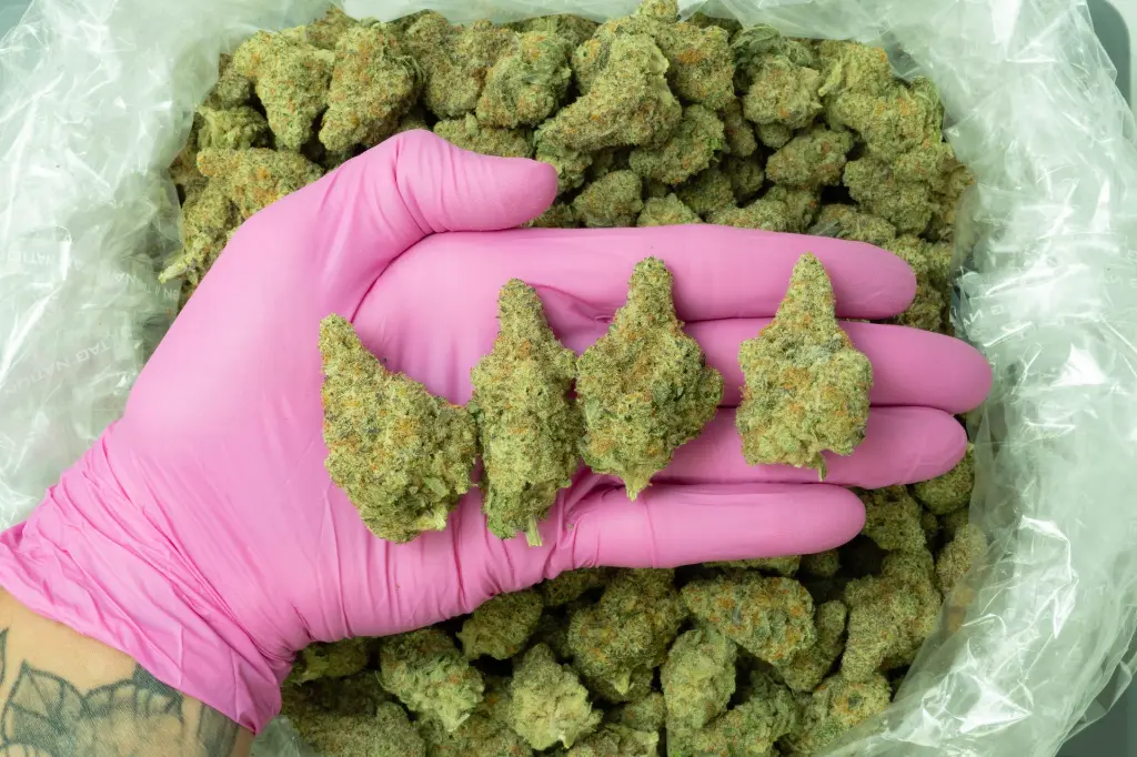 The Sauce Indoor 4-15-26 PINK (2).webp