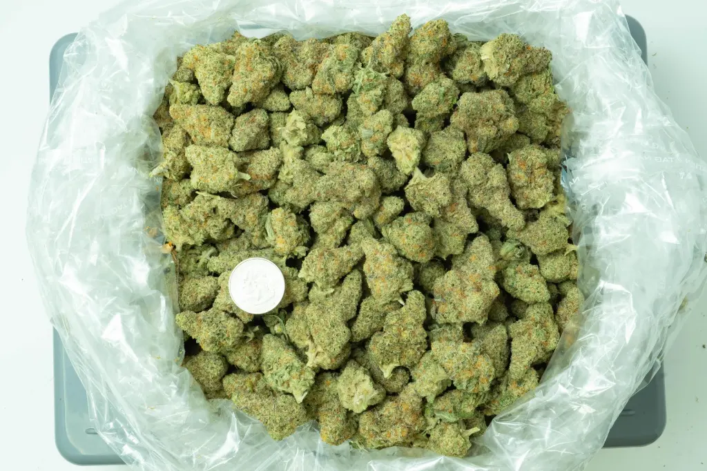 The Sauce Indoor 4-15-26 BAG (3).webp