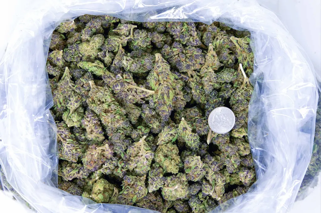 Tigre 4-3-26 BAG.webp