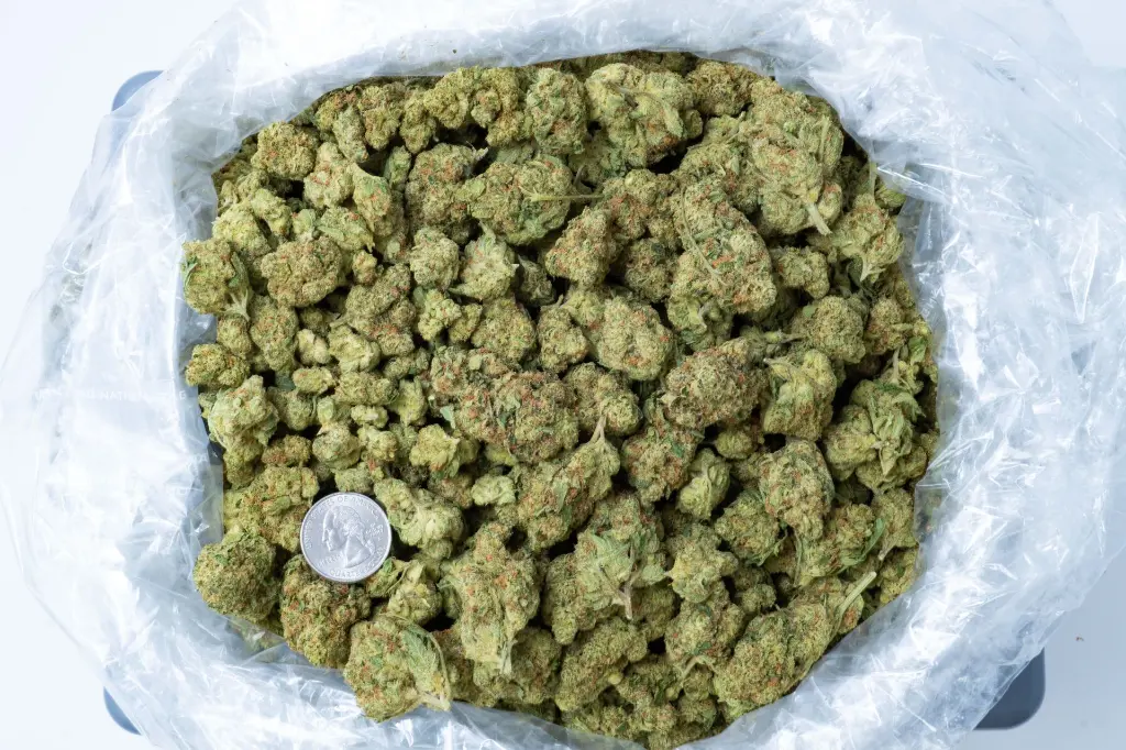 Green Crack 4-15-26 BAG.webp