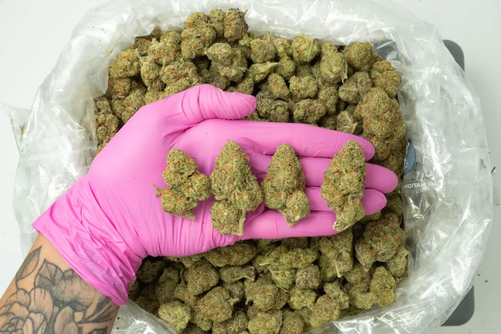 Mafia Funeral 4-15-26 PINK.webp