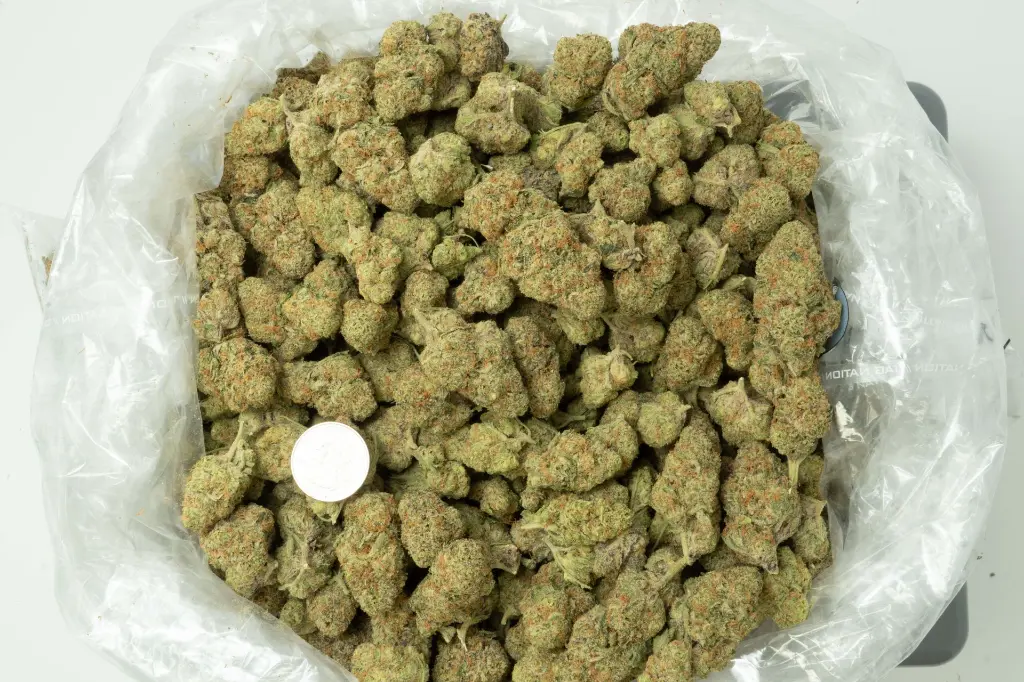 Mafia Funeral 4-15-26 BAG.webp