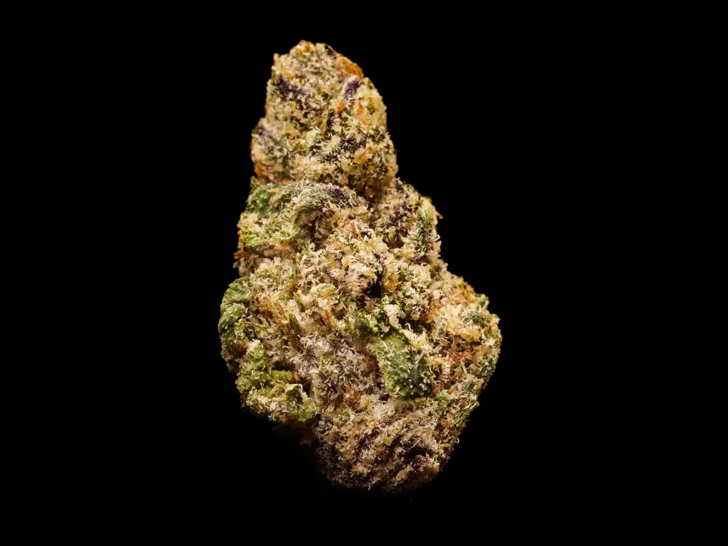 Fat Purple Candy Runtz BUD.webp