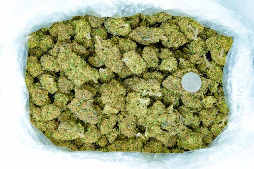 Gelato 4-3-26 BAG (1).webp