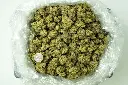 Black Domina 4-16-26 BAG.webp