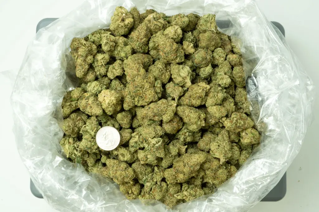 Sundae Driver 4-16-26 BAG.webp