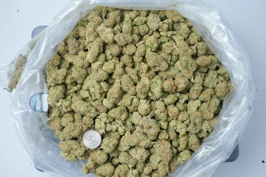 Mendo Breath 4-17-26 BAG-2.webp