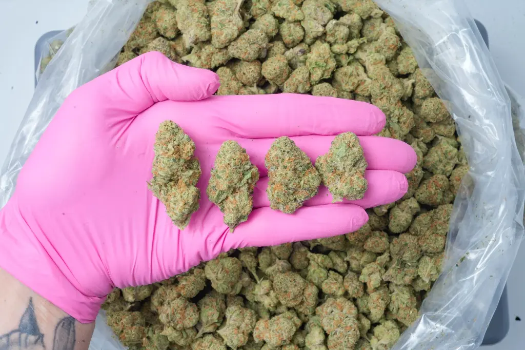 Mendo Breath 4-17-26 PINK-2 (1).webp