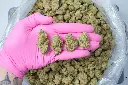 Mendo Breath 4-17-26 PINK-2 (1).webp