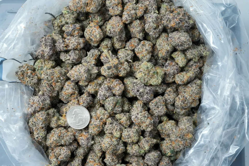 Cereal Milk 4-20-26 BAG.webp