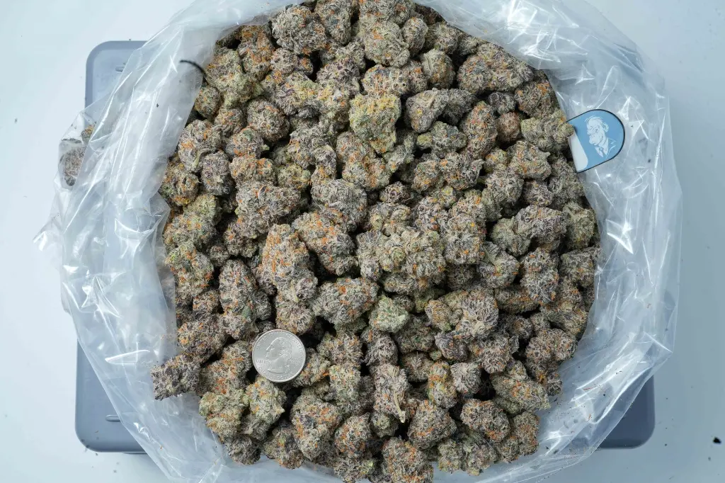 Super Boof 4-20-26 BAG.webp