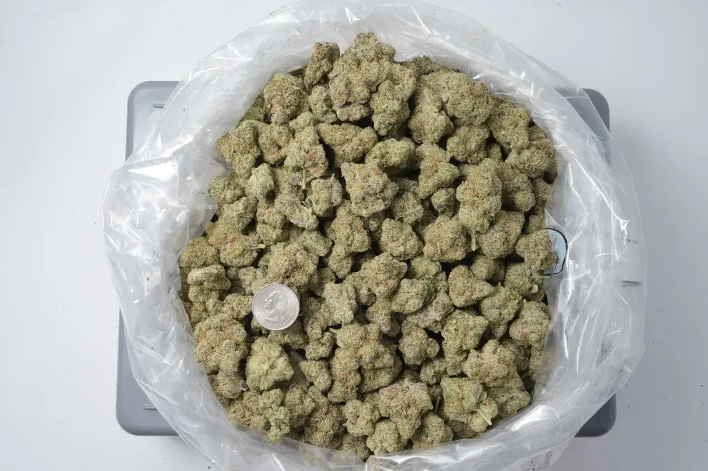 Zoap 4-21-26 BAG.webp