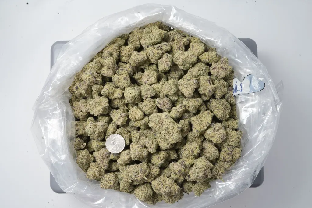 Lilac Diesel 4-21-26 BAG.webp