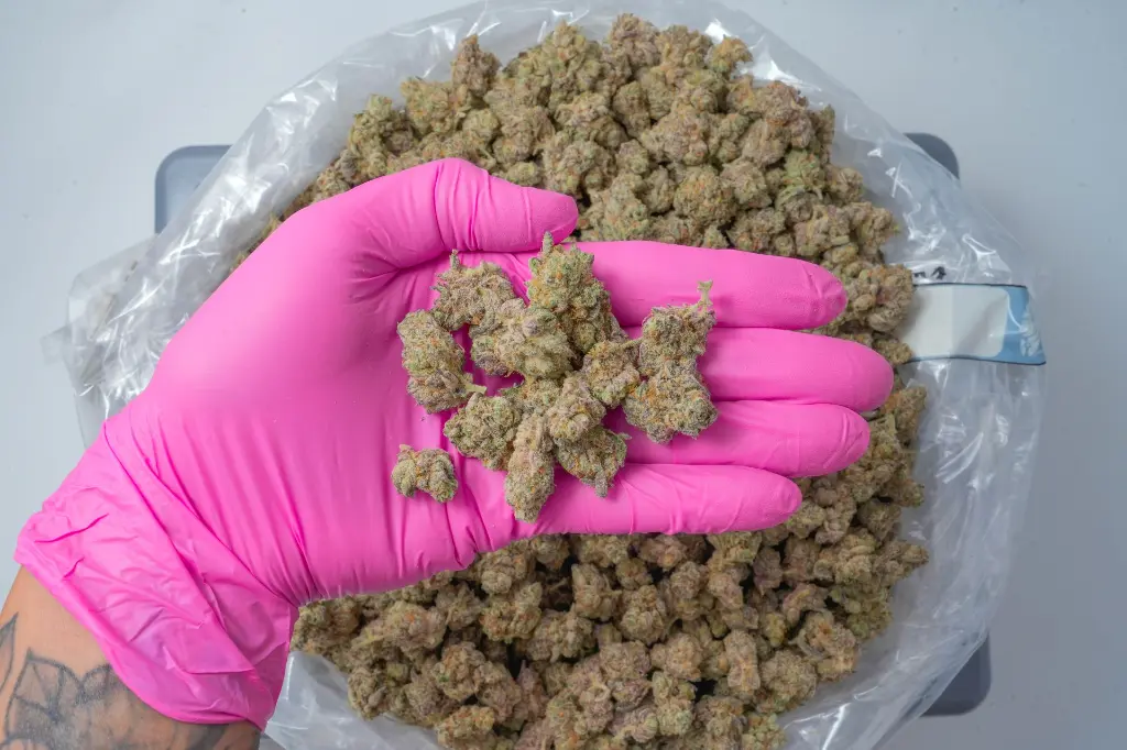 Prickly Pear Smalls 4-21-26  PINK-2 (1).webp