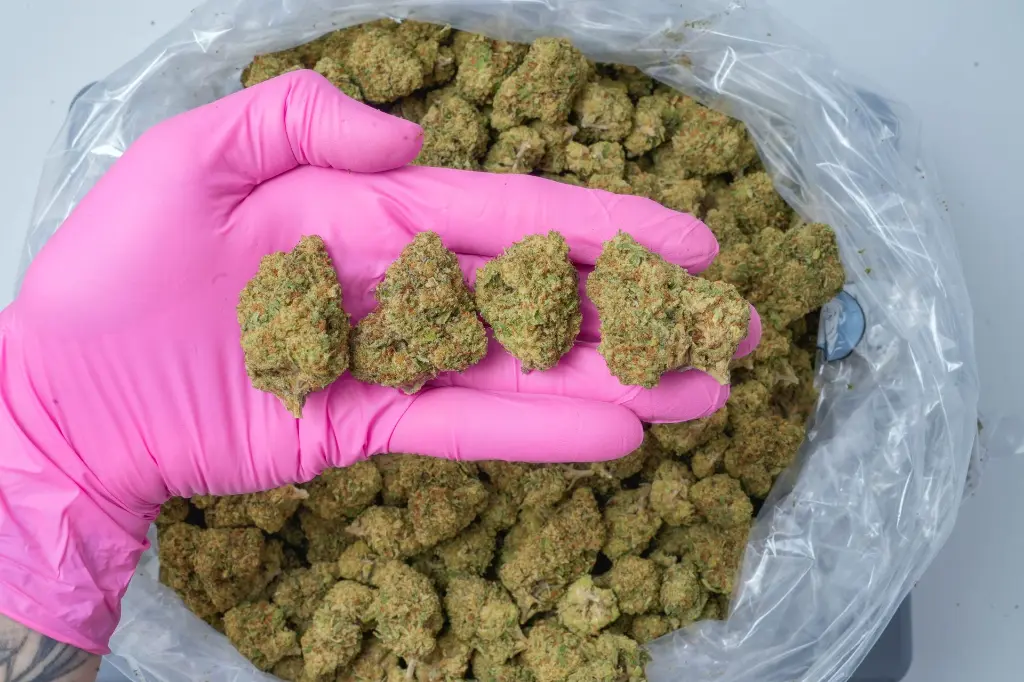 Almond Mochi 4-17-26 PINK-2.webp