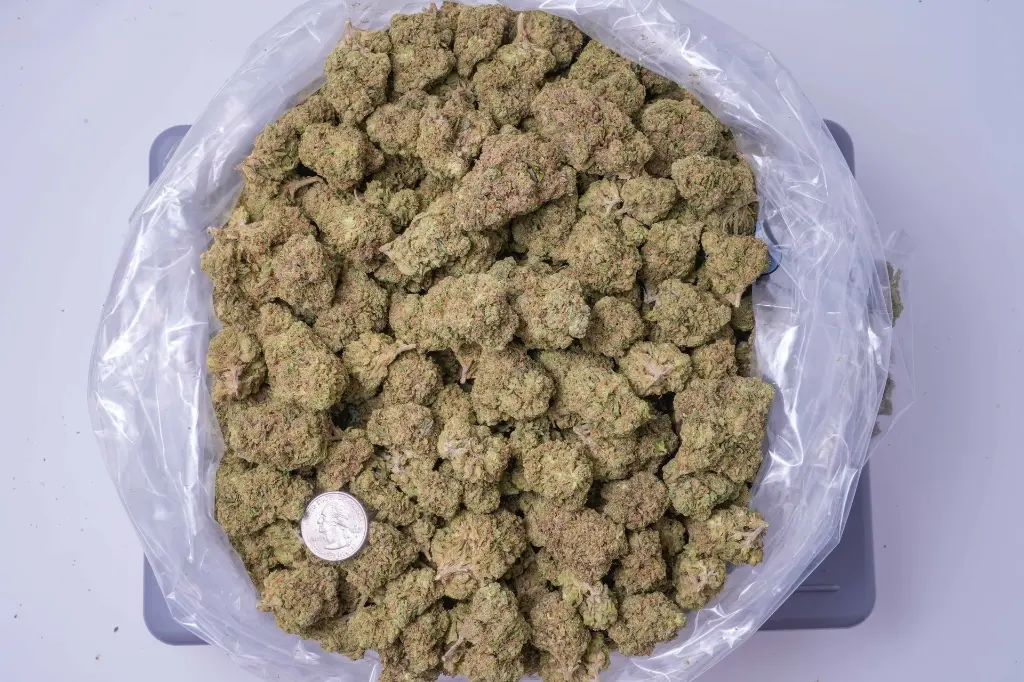 Lemon Cherry Sherbet 4-17-26 BAG-2.webp