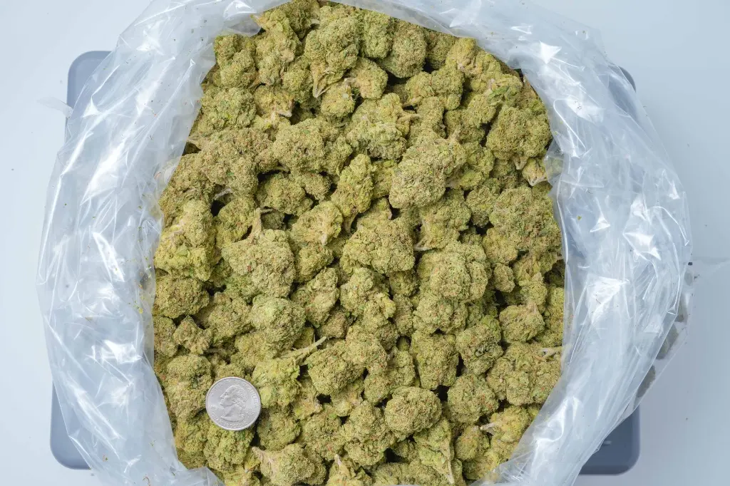 Blue Andeze 4-17-26 BAG-2.webp