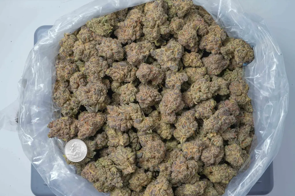 Zoreos 4-22-26 BAG-2.webp