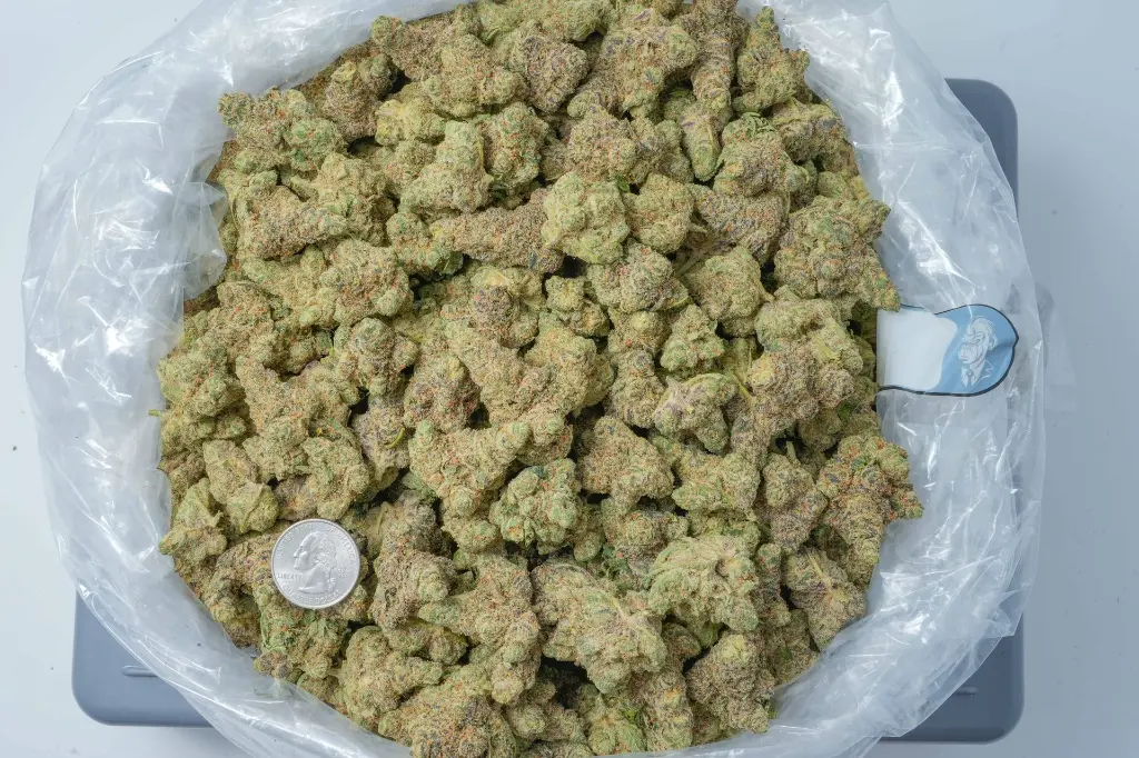 Modified Grapes 4-22-26 BAG-2.webp