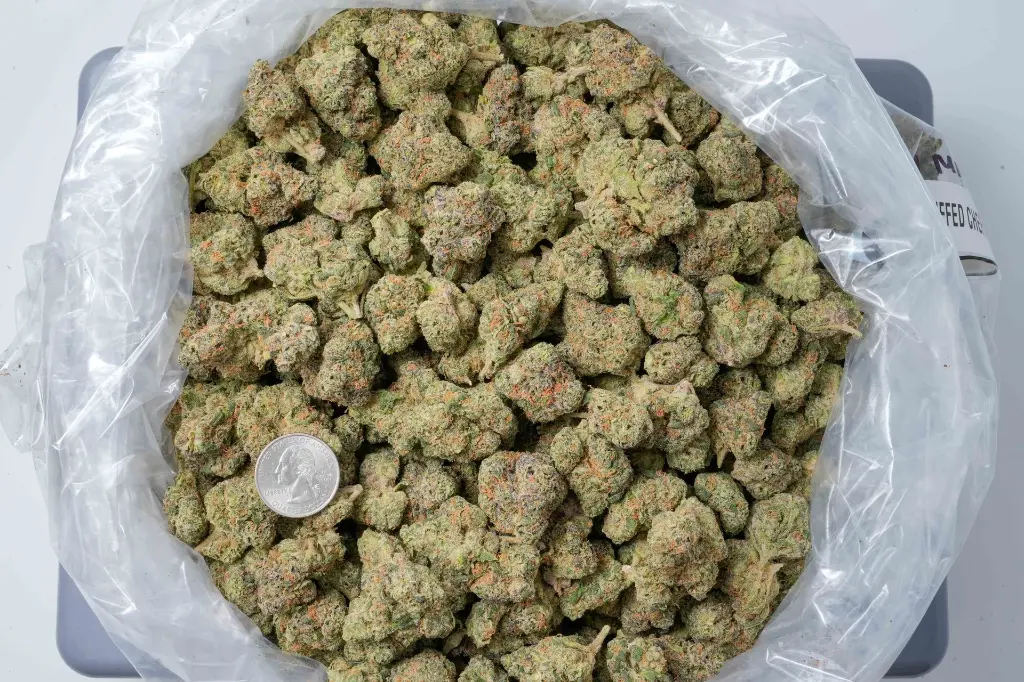 Jealousy Mintz 4-22-26 BAG-2.webp