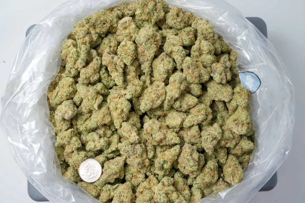 Sweet Cheese 4-22-26 BAG-2.webp